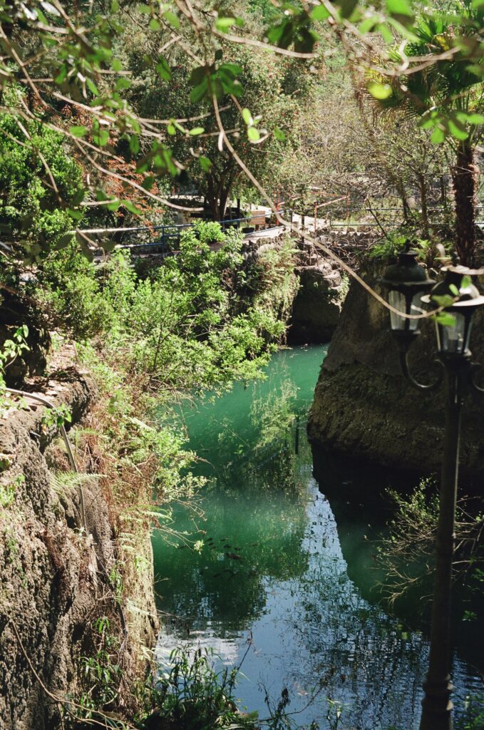 Cedar Lakes Woods and Gardens in Williston Florida with lush greenery, limestone rocks, and tropical landscaping