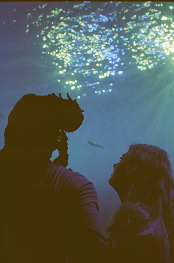 A film photo captures the couple exploring Mote Aquarium together.