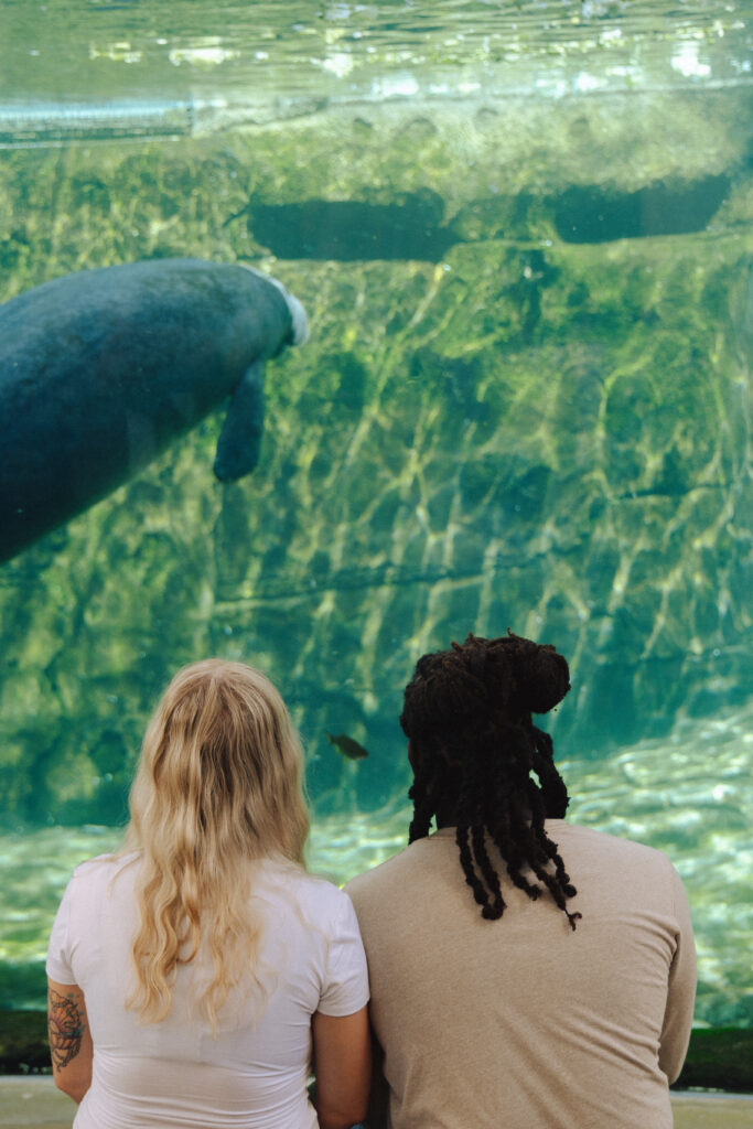 The couple shares a quiet moment beside an aquarium window.