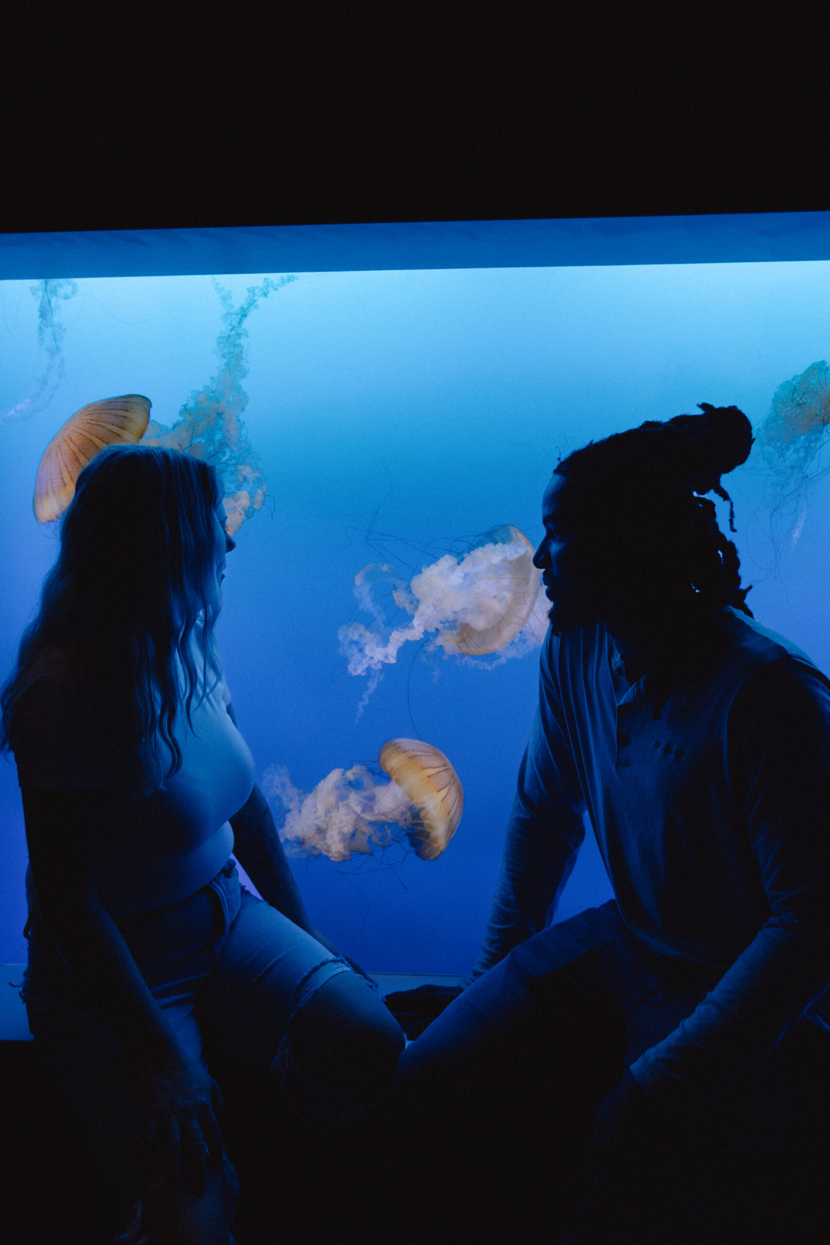 Colorful fish swim through the water at Mote Aquarium.